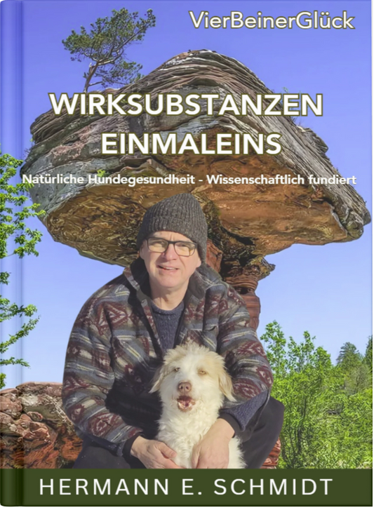 Aufgeschlagener Ratgeber „Wirksubstanzen Einmaleins“ — Mockup-Ansicht mit Doppelseite