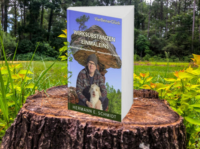 Ratgeber „Wirksubstanzen Einmaleins E-Book“ von Hermann Schmidt — Produktfoto auf Baumstumpf im Wald