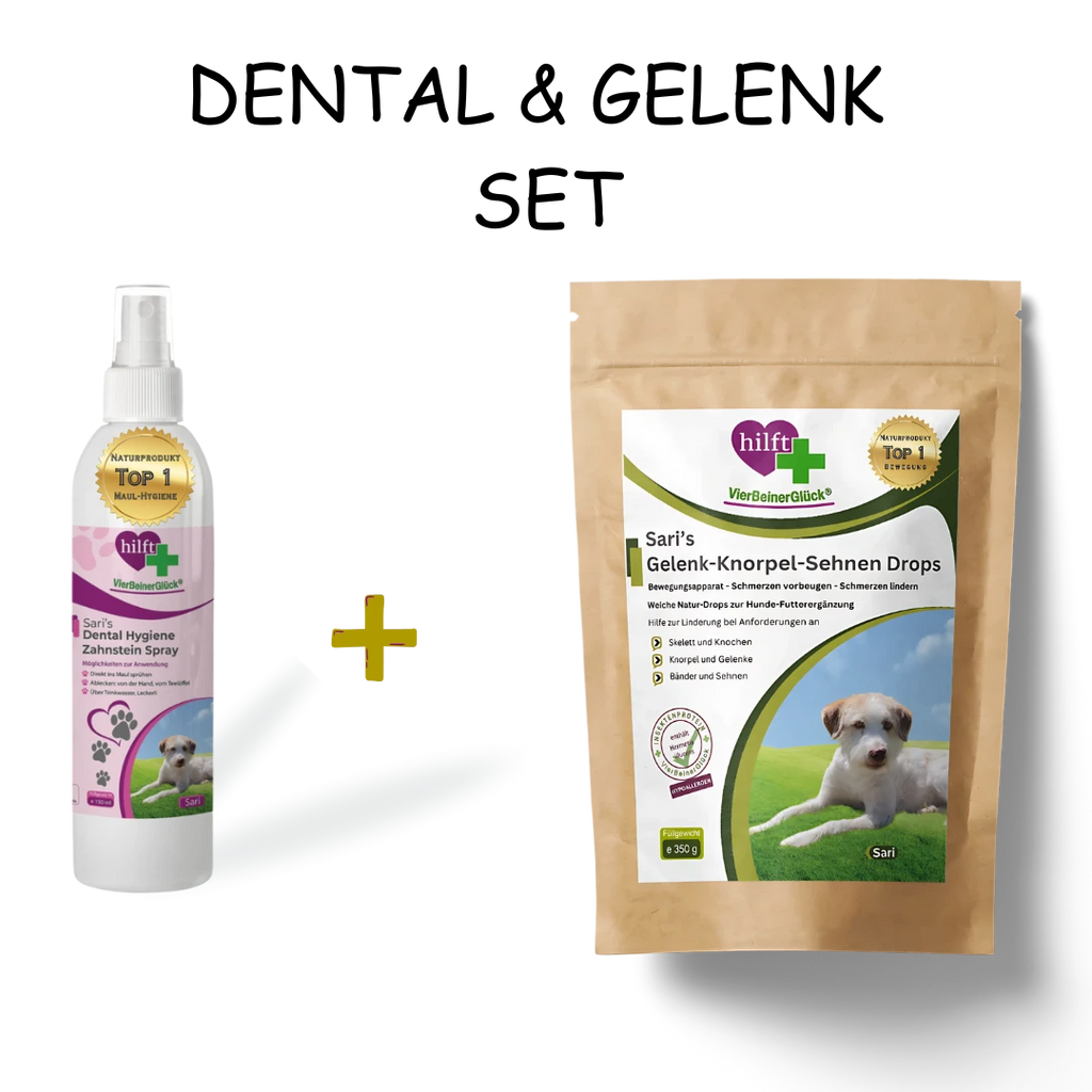 Alt-Text für das Set-Image
Dental & Gelenk Set für Hunde - Spray und Drops für Maulhygiene und Bewegungsapparat - 15% günstiger im Sparset für ganzheitliche Hundegesundheit.
