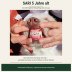 Sari, 5 Jahre alt - taegliche Maulpflege