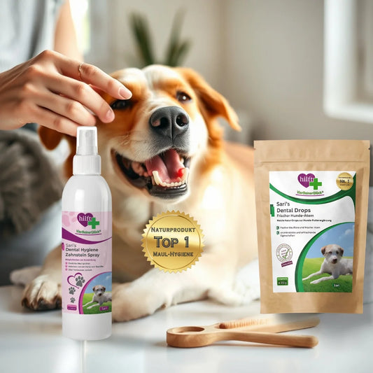 Person bei liebevoller Zahnkontrolle eines entspannten Hundes. Gesunde, weiße Zähne sichtbar. Spray und Drops-Verpackung professionell präsentiert. Helle, einladende Atmosphäre.